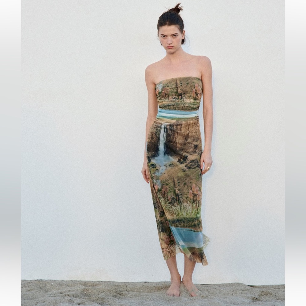 ZARA PRINTED TULLE DRESS